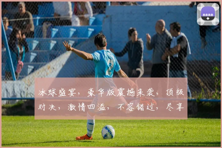 冰球盛宴，豪华版震撼来袭，顶级对决，激情四溢，不容错过，尽享冰雪狂欢