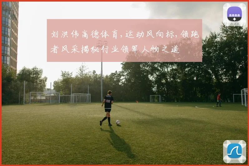 刘洪伟高德体育,运动风向标,领跑者风采揭秘行业领军人物之道