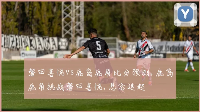 磐田喜悦vs鹿岛鹿角比分预测,鹿岛鹿角挑战磐田喜悦,悬念迭起