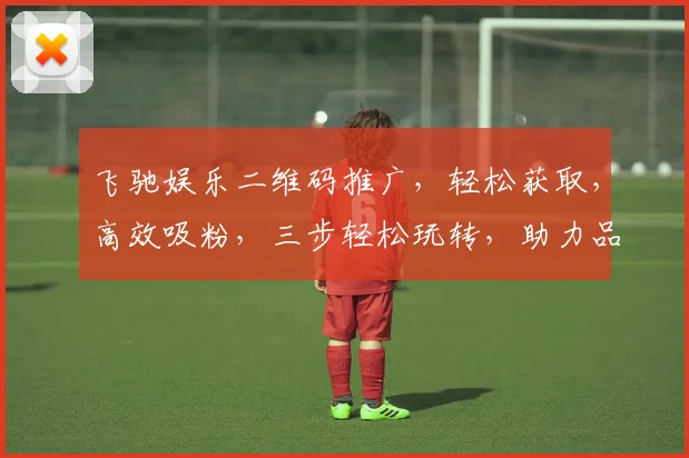 飞驰娱乐二维码推广，轻松获取，高效吸粉，三步轻松玩转，助力品牌成长，不容错过，三重惊喜等你来