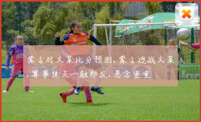 蒙古对文莱比分预测,蒙古迎战文莱,赛事焦点一触即发,悬念重重